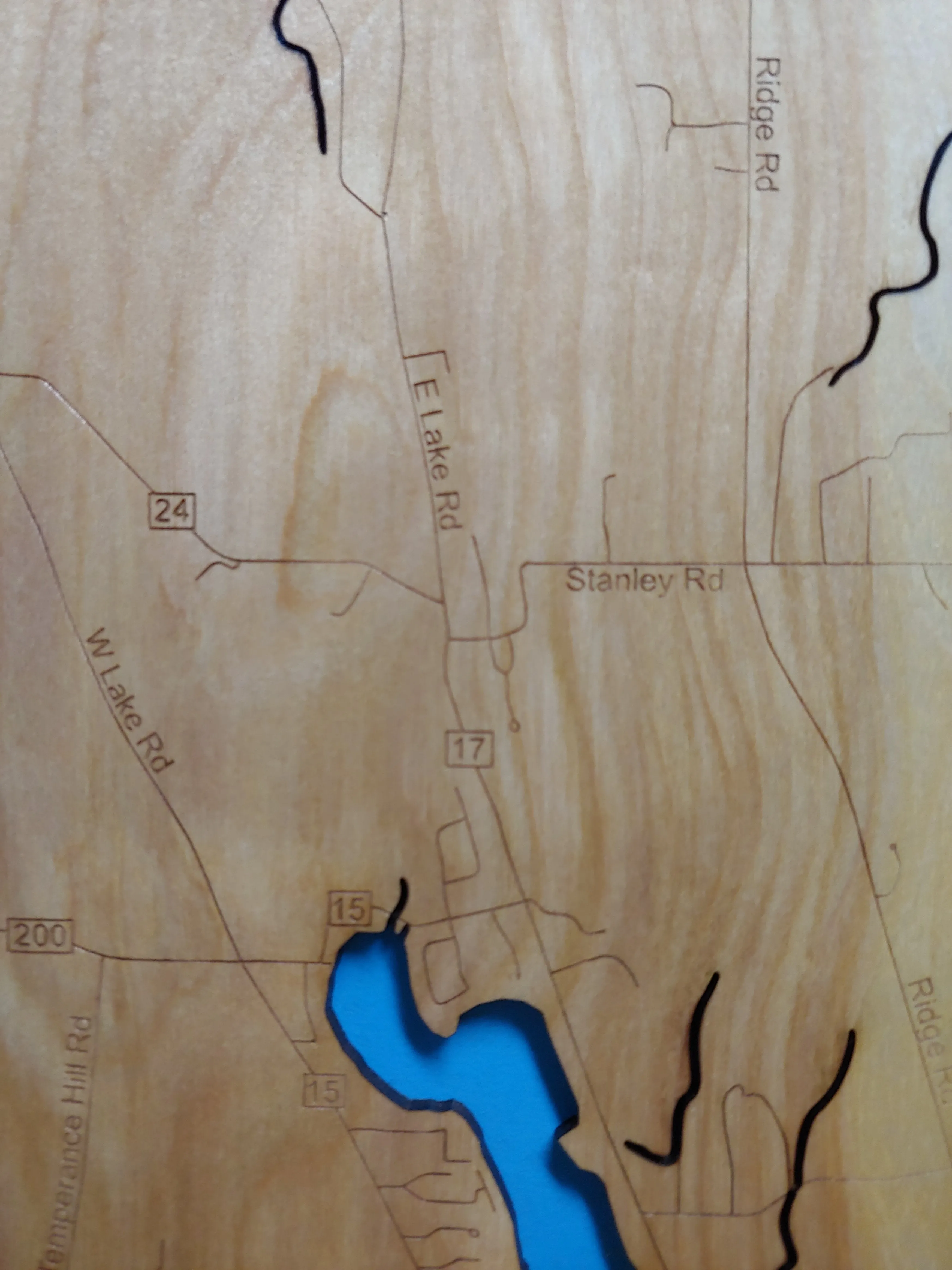 Chittenango Falls State Park- Laser Cut Wood Map