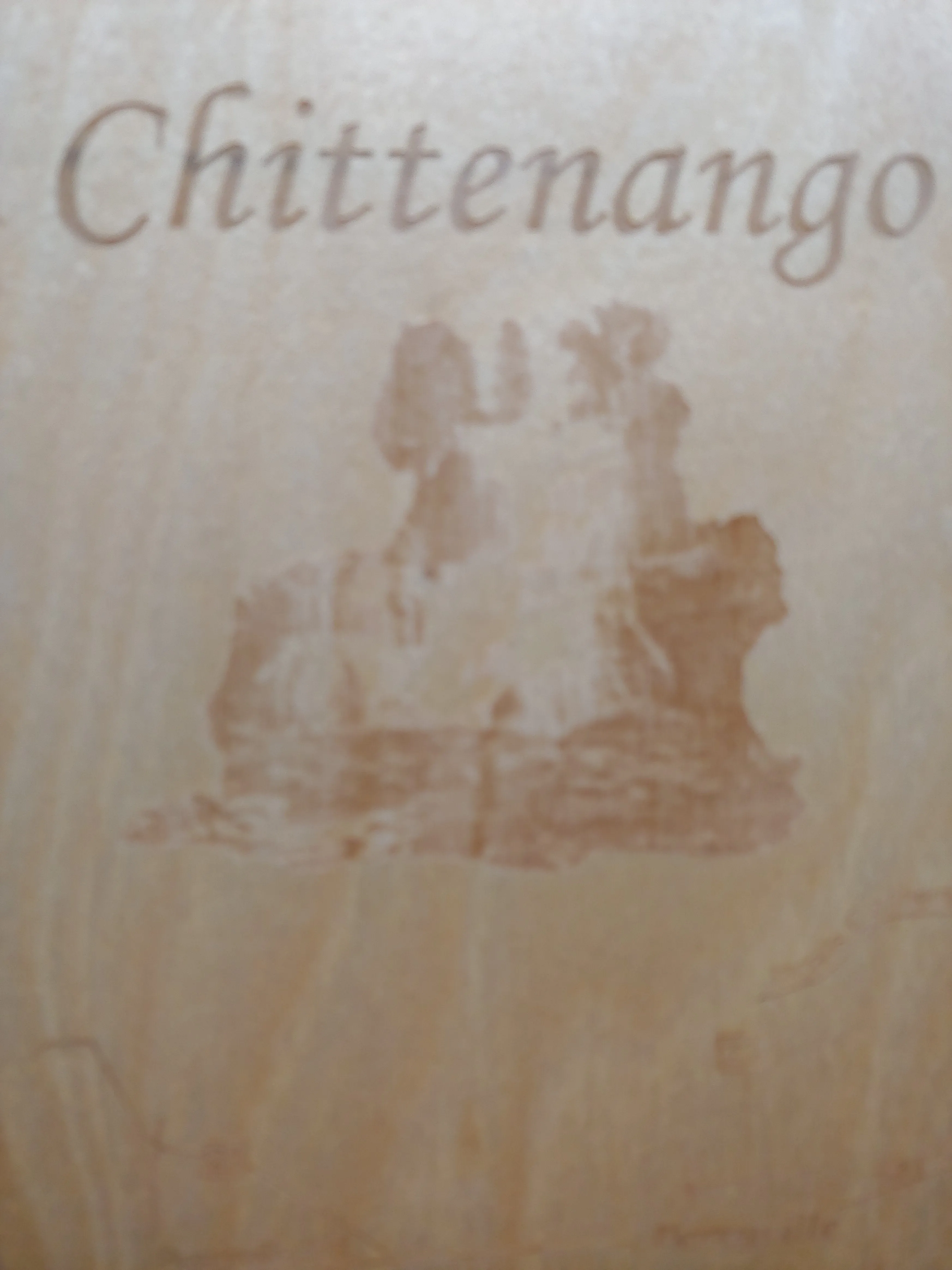 Chittenango Falls State Park- Laser Cut Wood Map