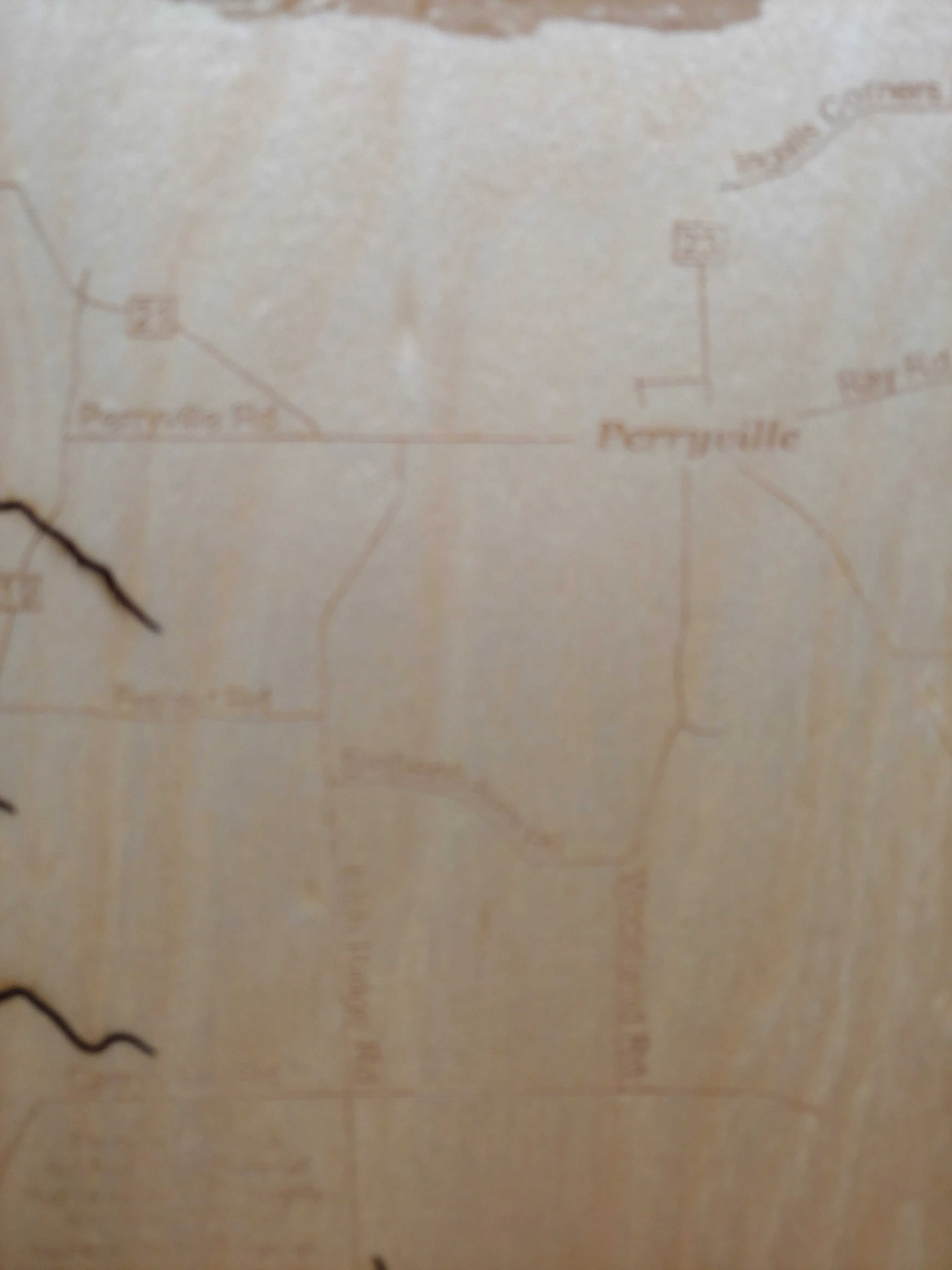 Chittenango Falls State Park- Laser Cut Wood Map