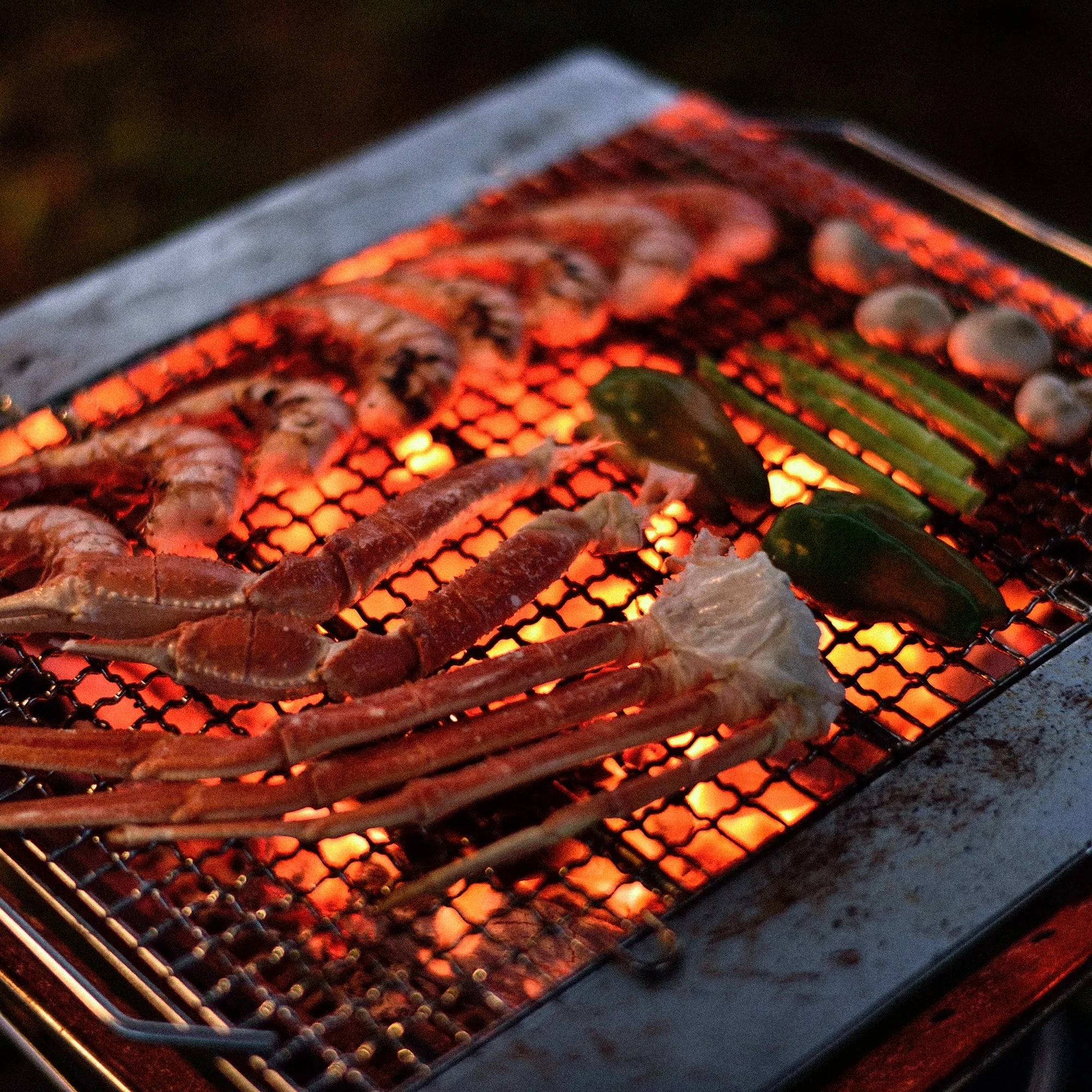 Fireplace Grill Bridge (L)